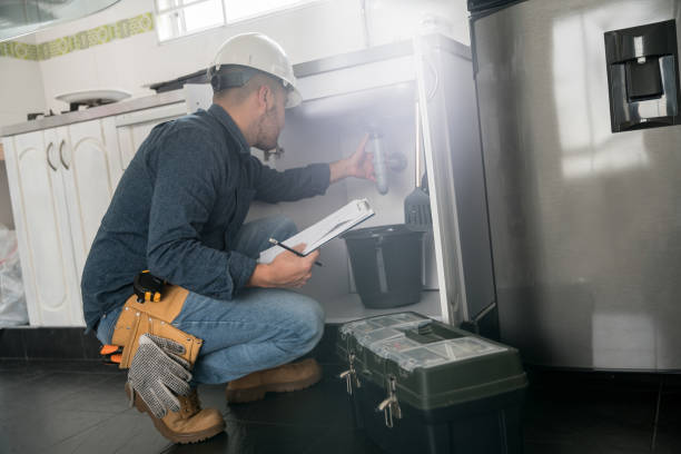 Best Plumbing Services Near Me  in Holiday Shores, IL