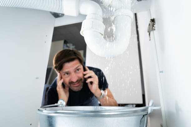 Best Plumbing Inspection Services  in Holiday Shores, IL