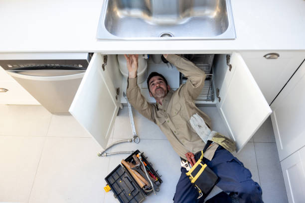 Best Residential Plumbing Services  in Holiday Shores, IL