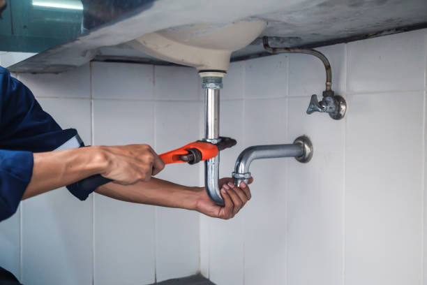 Best Same-Day Plumbing Service  in Holiday Shores, IL