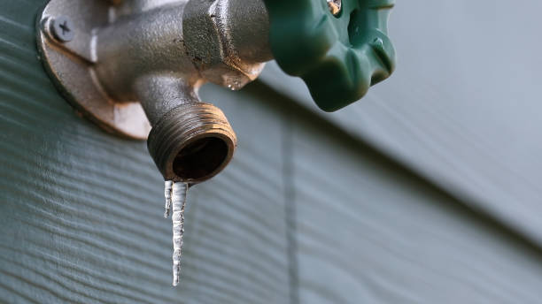 Best Emergency Plumber  in Holiday Shores, IL